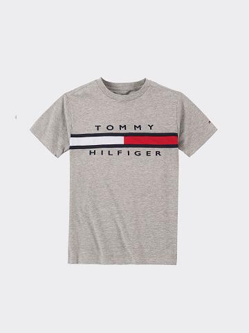 Camiseta Tommy Hilfiger Signature Stripe Niños Gris | CL_B2203