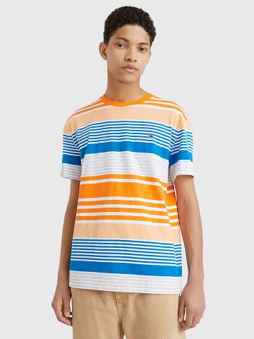 Camiseta Tommy Hilfiger Summer stripe Hombre Multicolor | CL_M31073